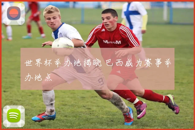 世界杯举办地揭晓 巴西成为赛事举办地点