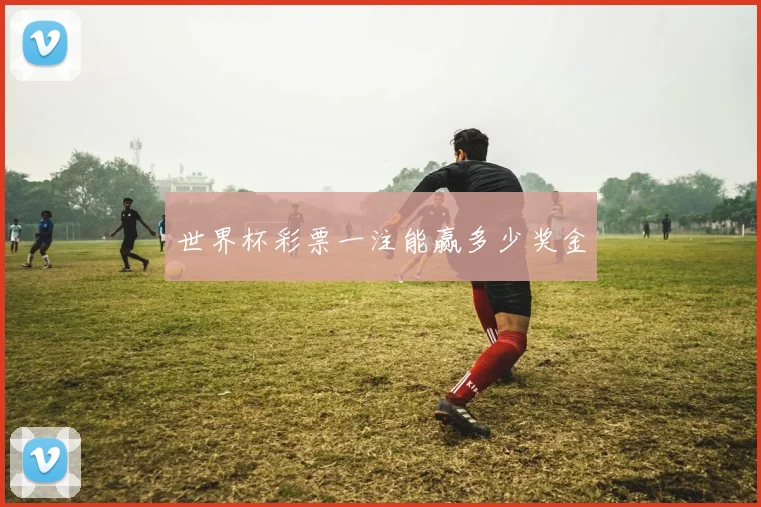 世界杯彩票一注能赢多少奖金
