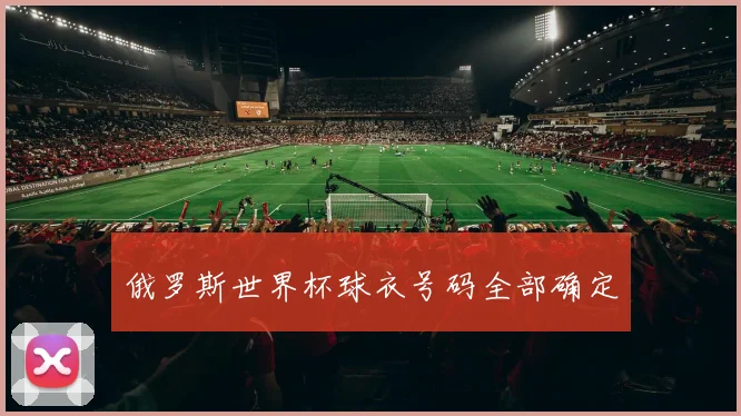 俄罗斯世界杯球衣号码全部确定
